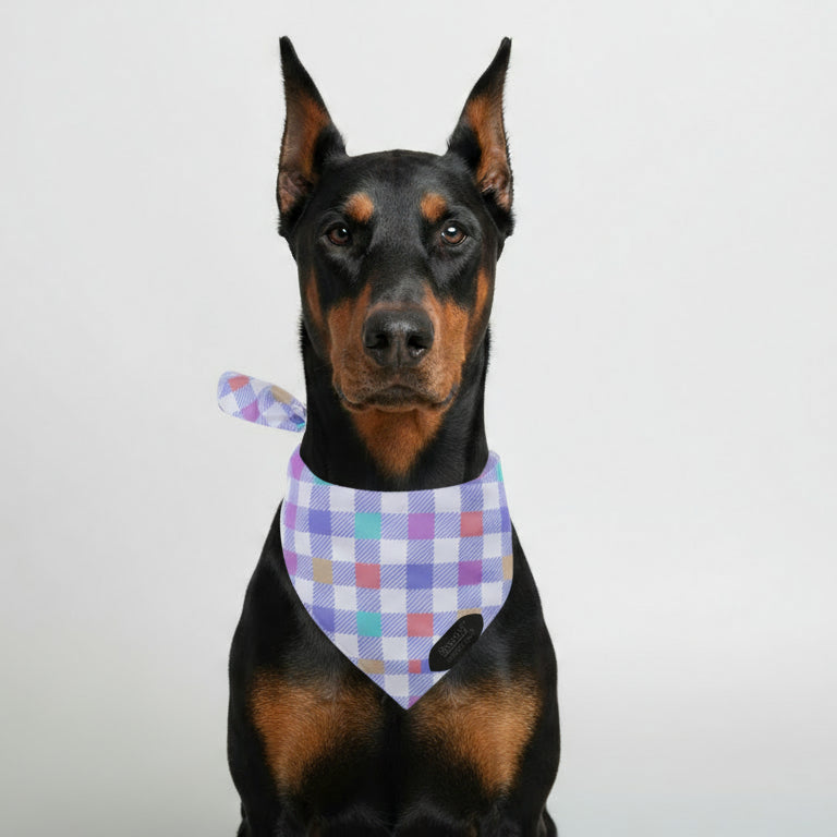 The Amethyst Bandana