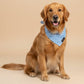 The Blue Gingham Bandana