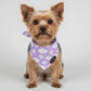 The Dreamy Bandana