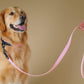 Light Pink Suede Dog Leash with Black Leather